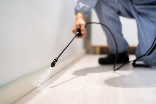 Licensed Termite Control service in Richwood, LA - Nex Pest Control