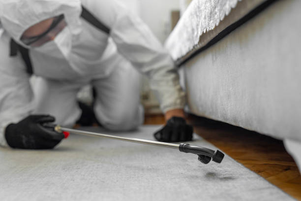 Professional Termite Control technician working in Richwood, LA