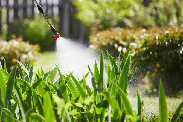 24/7 Emergency Termite Control experts in Richwood, LA