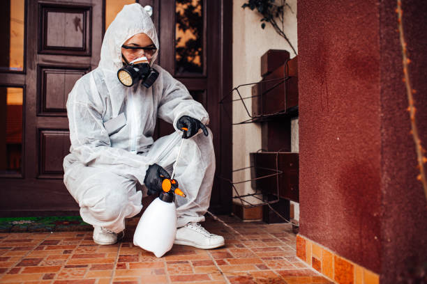 Reliable Termite Control contractor in Richwood, LA by Nex Pest Control