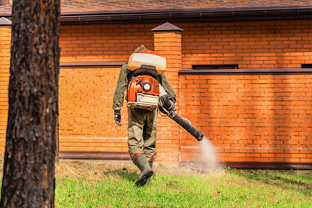 Top rated local Termite Control specialists in Richwood, LA
